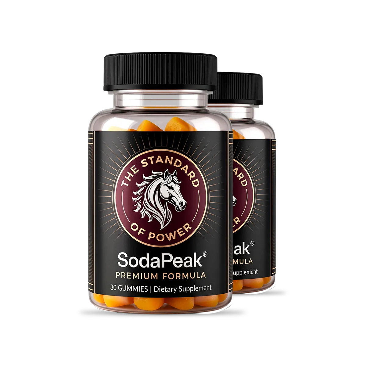 Sodapeak 2 bottle kit — 60-day supply